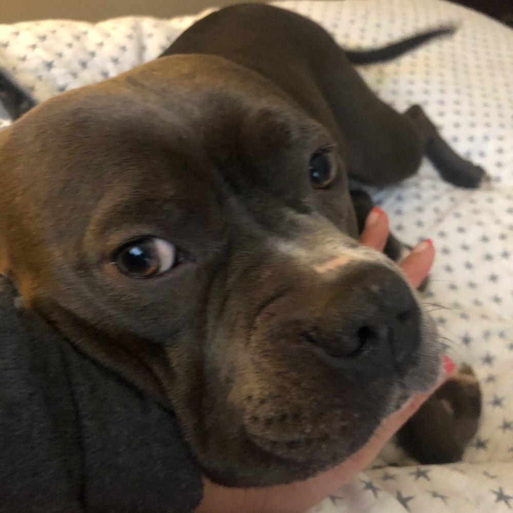 Meet your Posher, Mary